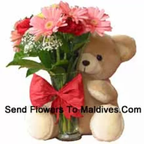 12 Red Carnations And Pink Gerberas In A Glass Vase Decorated With A Bow And Accompanied With A Cuddly Teddy Bear