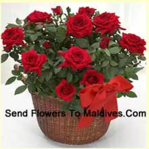 A Beautiful Arrangement Of 18 Red Roses With Seasonal Fillers