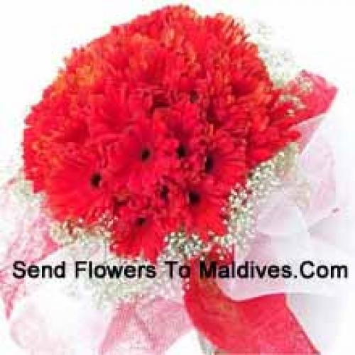 Cute 36 Red Gerberas