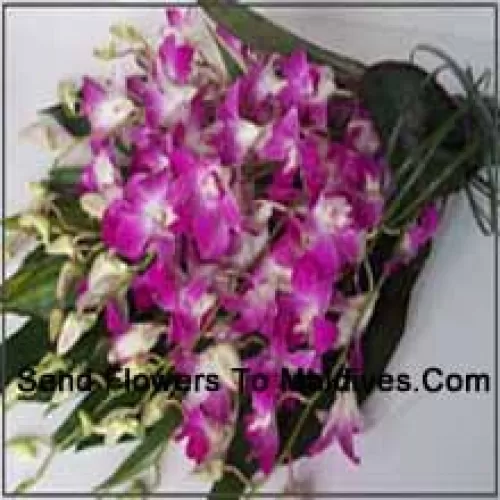 Bunch Of Orchids With Seasonal Fillers