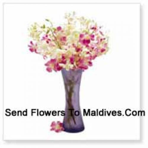 Sweet Orchids in Vase